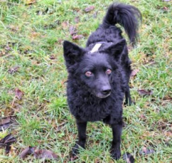 MARENA - liebenswert&intelligent