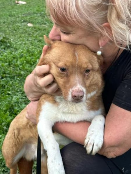 ❤ 🐾 BARNEY geb. 14.08.2016, ca. 35/40