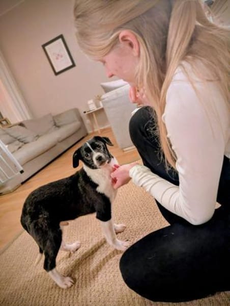 Kirby - Kleiner Strolch sucht Zuhause 🐾