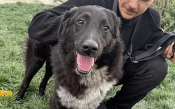 Ivy - voller Energie und Lebensfreude!