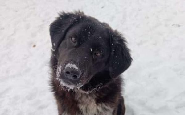 Ivy - voller Energie und Lebensfreude!