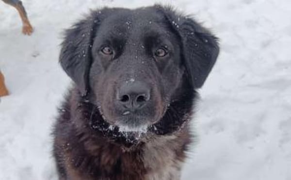 Ivy - voller Energie und Lebensfreude!