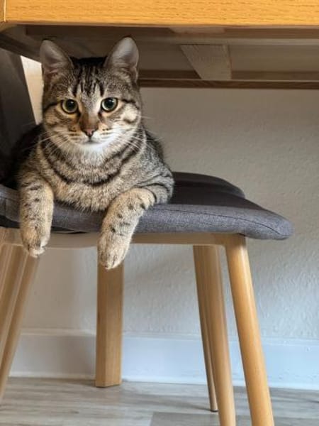 Leni (früher Lennox)