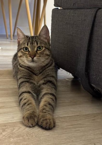 Leni (früher Lennox)