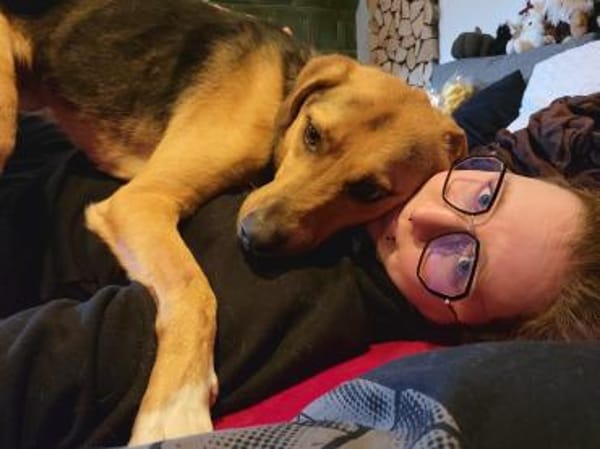 Zuhause gesucht für Minou