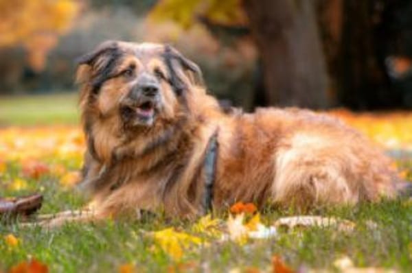 SLY - menschenbezogen&sensibel