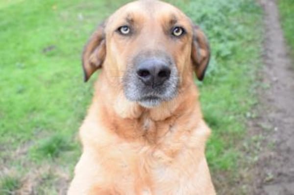 Sanft, kinderlieb mit offenem Wesen ...