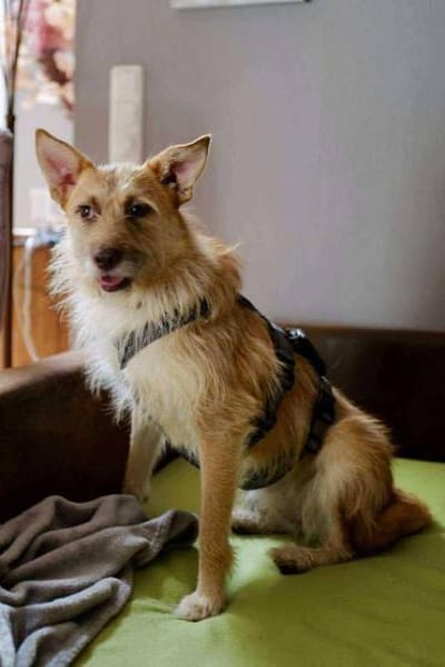 Kiki - die liebe Grinsemaus