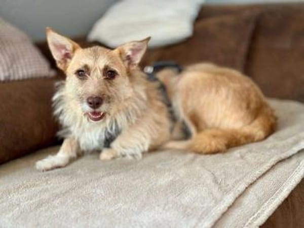 Kiki - die liebe Grinsemaus