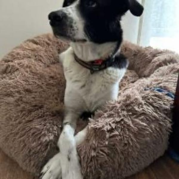 Lili - die Liebenswerte