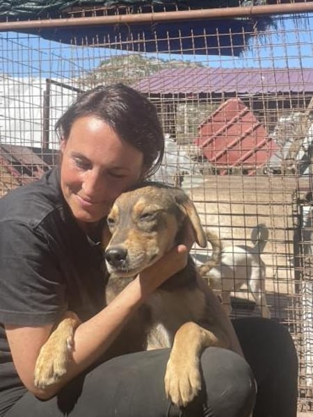 Hübscher Jack sucht ein Zuhause