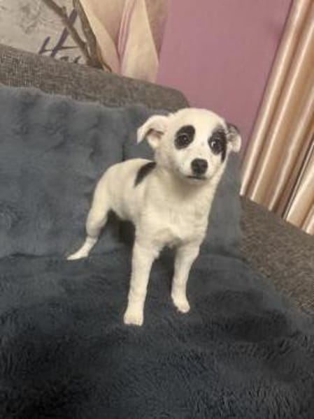 Zara ein tolles kleines Mädchen