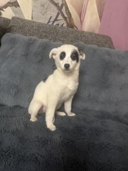 Zara ein tolles kleines Mädchen