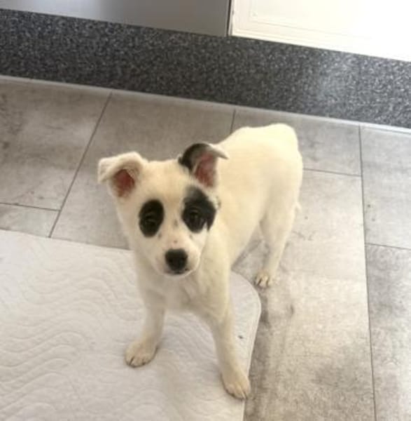 Zara ein tolles kleines Mädchen