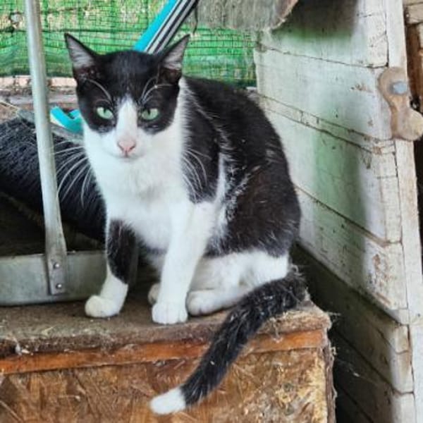 Marylin möchte endlich ankommen