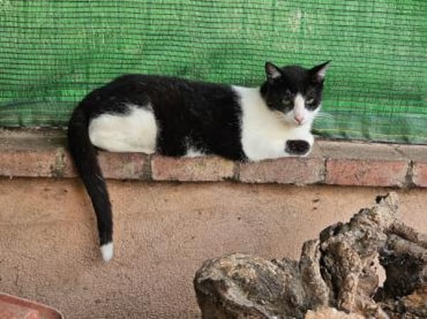 Marylin möchte endlich ankommen