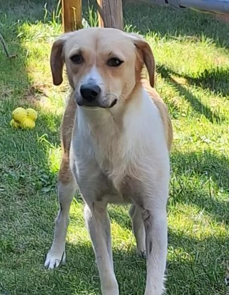 MABEL-möchte keine Angst mehr haben