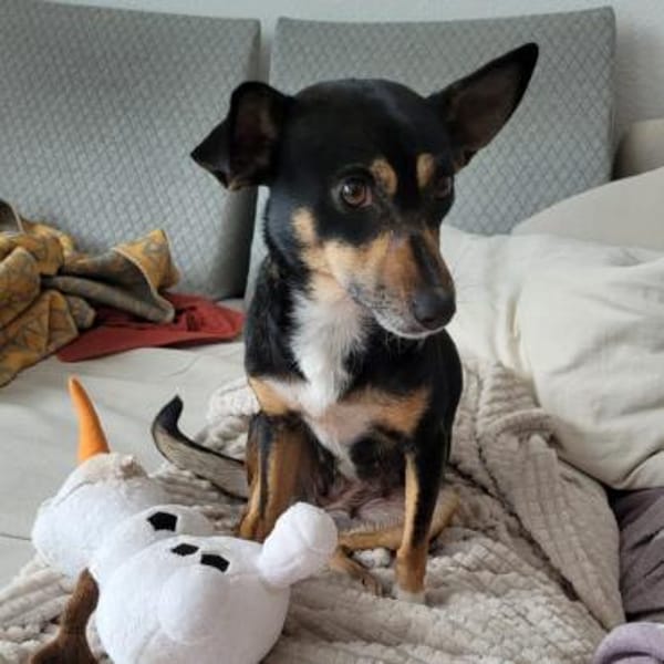 Liana ❤ zarte Seele möchte gefallen