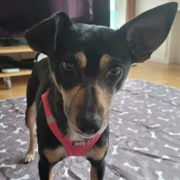 Liana ❤ zarte Seele möchte gefallen