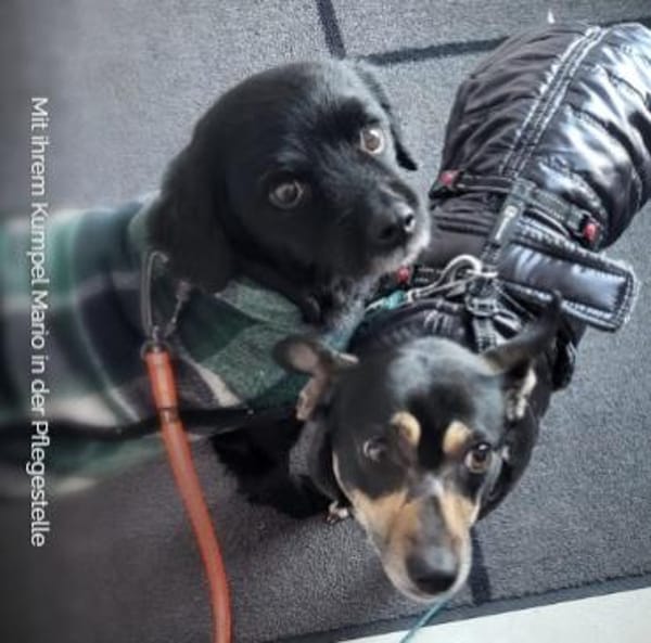 Liana ❤ zarte Seele möchte gefallen