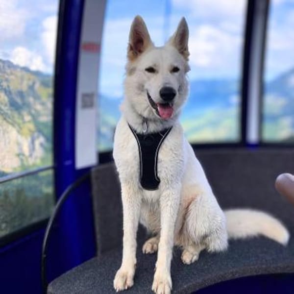 Ella - brauch viel Aufmerksamkeit