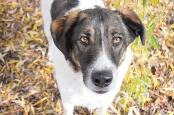 Pflegeleicht und familiär ... Wiliam