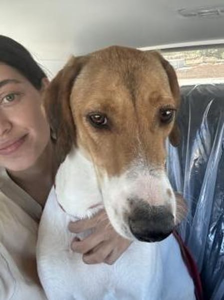 Aki sucht sein Zuhause