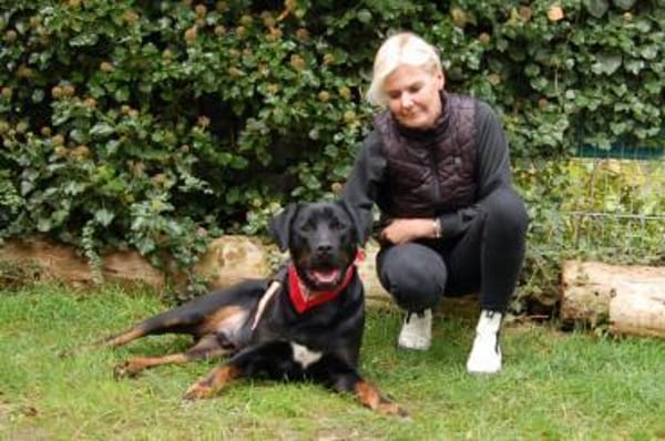 CHOPPER sucht dringend ein neues Zuhause