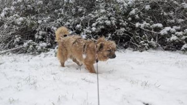 Süße Molly❤ sucht Kuschelflat