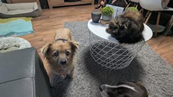 Süße Molly❤ sucht Kuschelflat