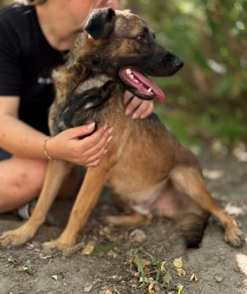 Jony LM  superlieber Jungspund