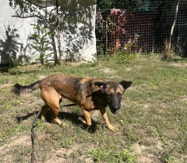 Jony LM  superlieber Jungspund