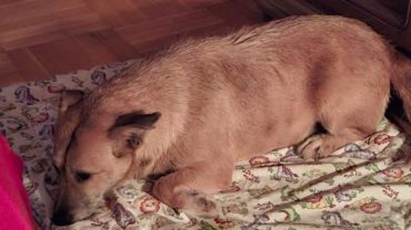 Hettike in 92237 Sulzbach-Rosenberg °