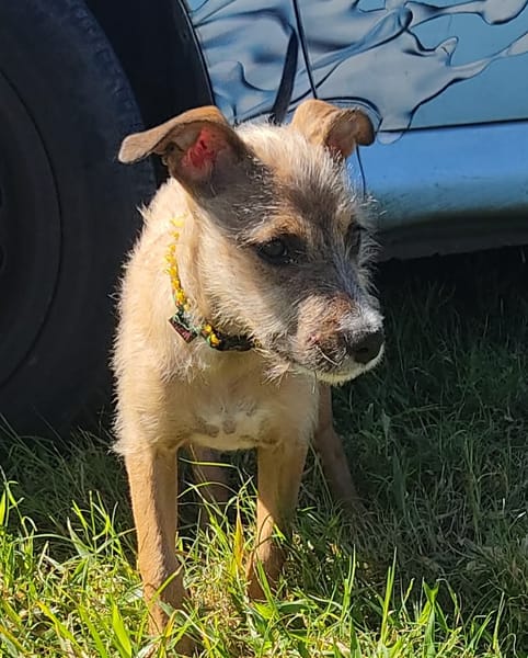 Ashley, magnifique bébé