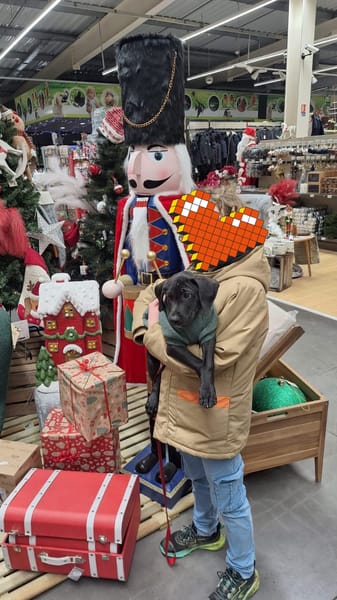 Zak, mâle Xberger né le 15/10/2025 🐶