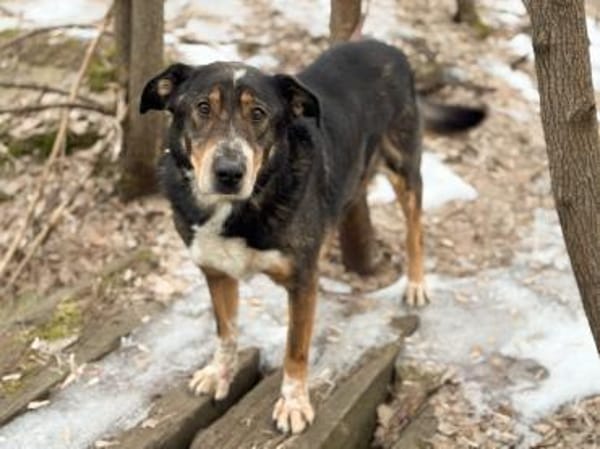 LEVA-liebevolle Familue gesucht