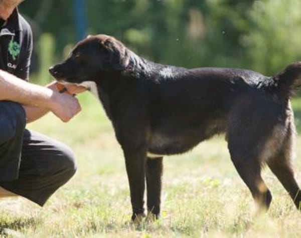 Ghandi möchte endlich ankommen!
