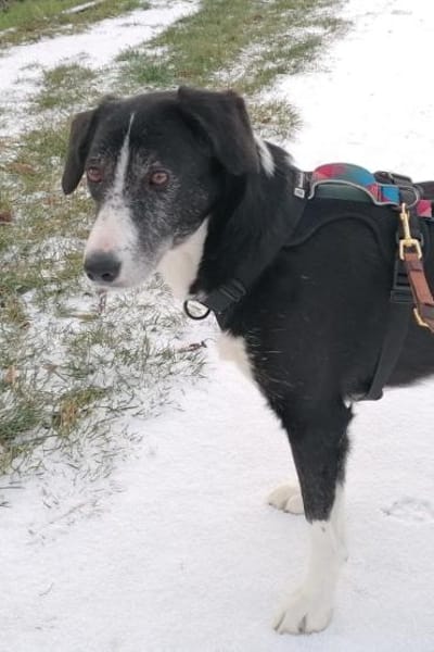 Genießerschnute ♥Mona♥ in 01640 Coswig