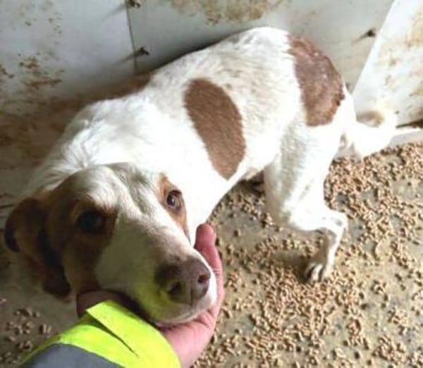 HELEN, lieb und sanft