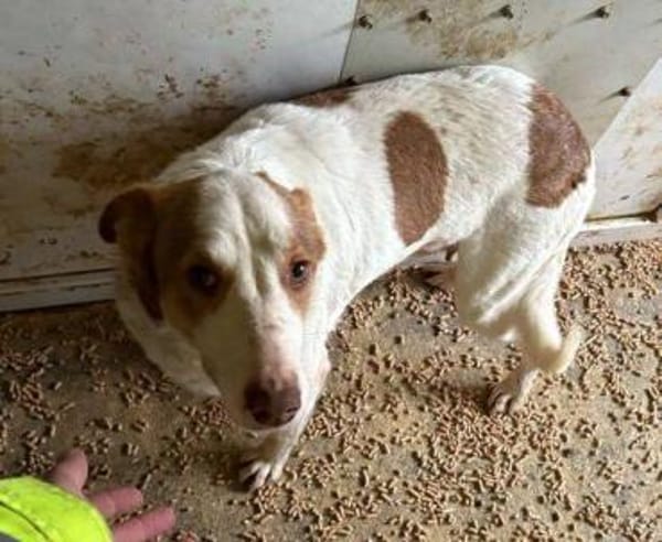 HELEN, lieb und sanft