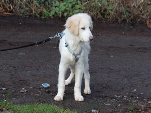 Taylor sucht ihre Menschen