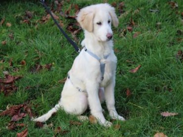 Taylor sucht ihre Menschen