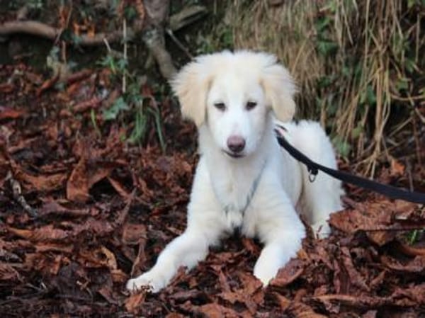 Taylor sucht ihre Menschen