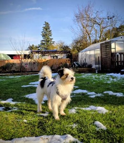 Thommi hat viel erlebt