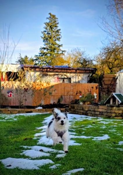 Thommi hat viel erlebt