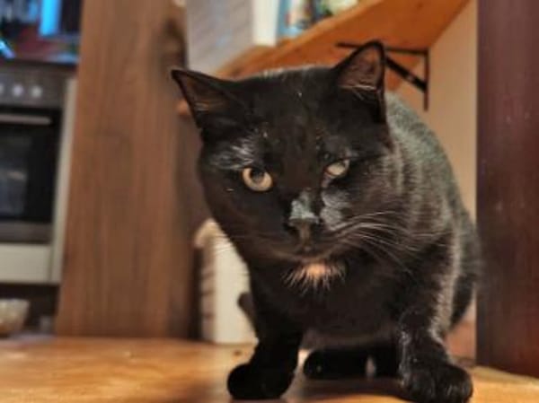 Mora sucht schönes Zuhause