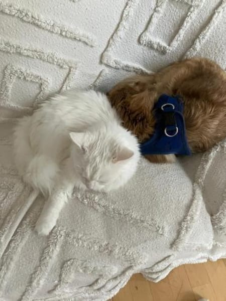 WILMA & BETTY suchen ihre Zukunft