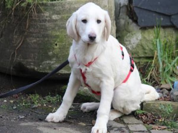 Tau möchte endlich ankommen