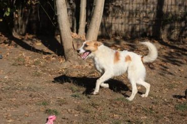 Wer schenkt dem hübschen Jaron sein Herz