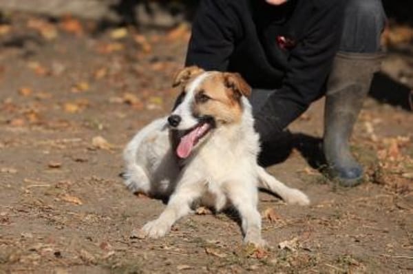 Wer schenkt dem hübschen Jaron sein Herz